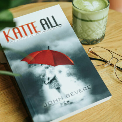 Raamat "Katte all"