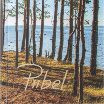 Piibel (mere pildiga)