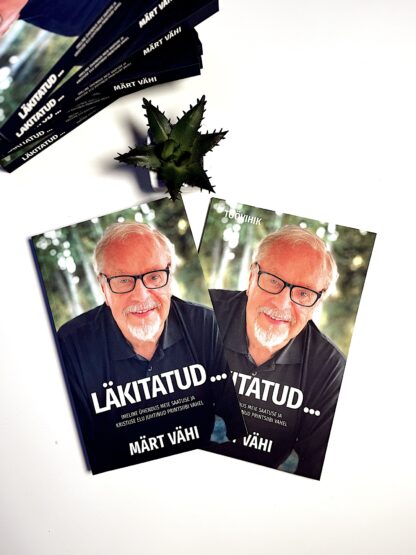 Läkitatud ... (raamat+töövihik) - Image 3